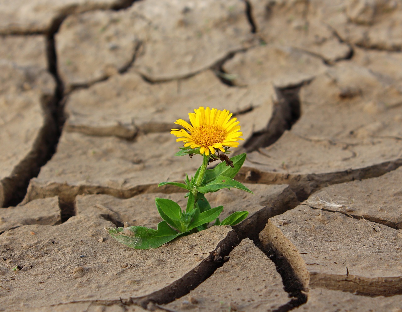 Transformation – dein Leben
