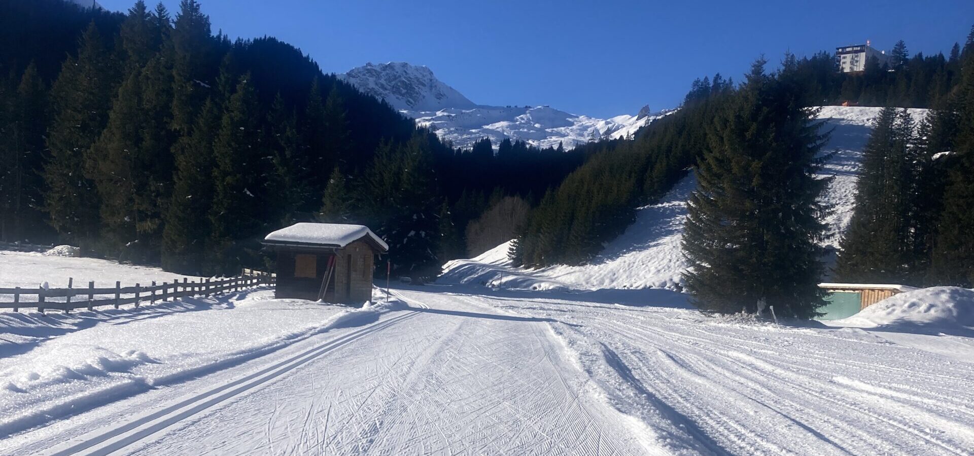 Star Seed Talk – Folge deiner Seele