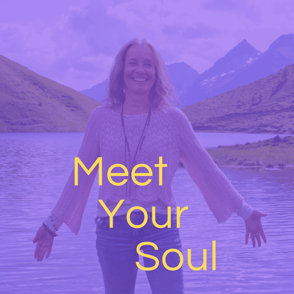 Meet Your Soul. Claudine Birbaum. Finde deine wahre Schöpferkraft.
